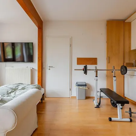 Family Mansion In Cologne
